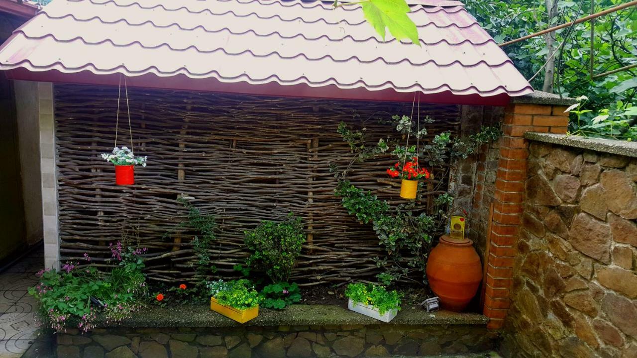 Green House In Батуми Экстерьер фото